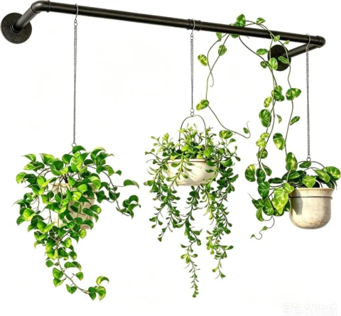 Tringle murale en métal noir pour plantes suspendues
