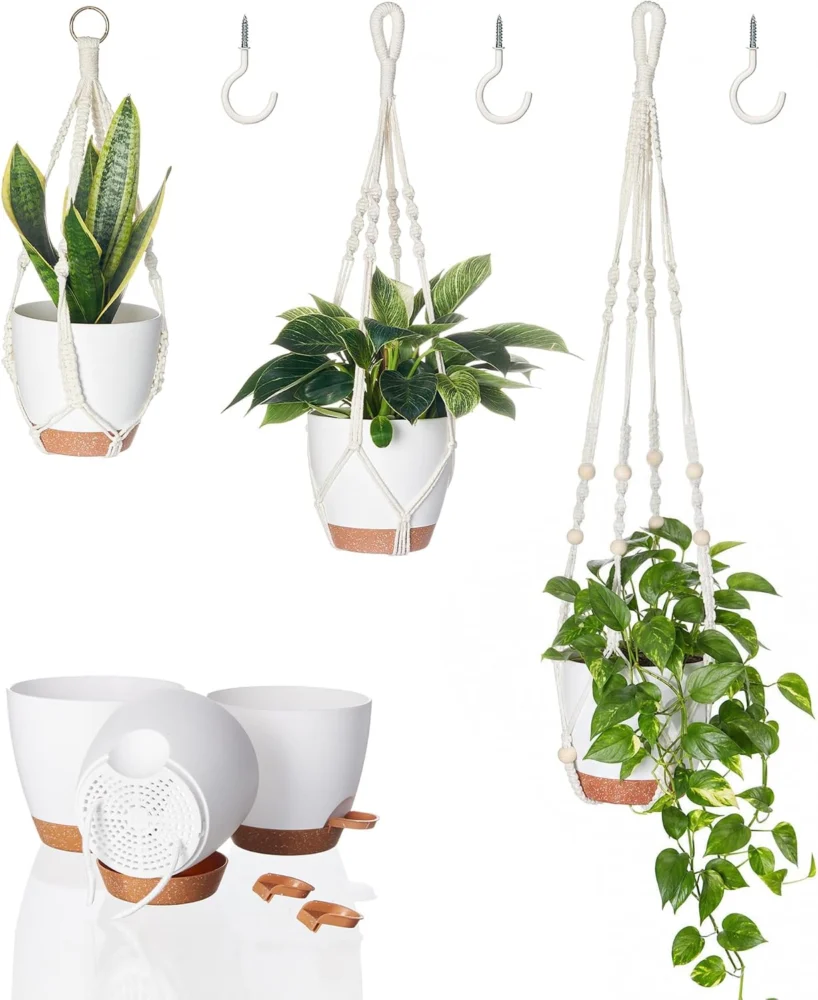Trio de suspensions macramé avec pots auto-arrosants