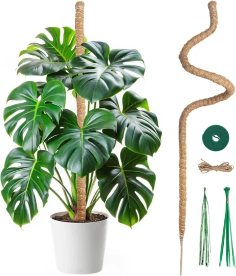 Tuteur en fibre de coco pliable 120 cm pour monstera