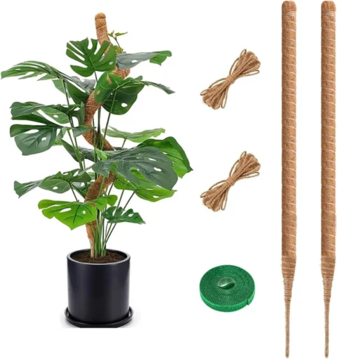 Tuteur monstera en fibre de coco 75 cm, lot de 2