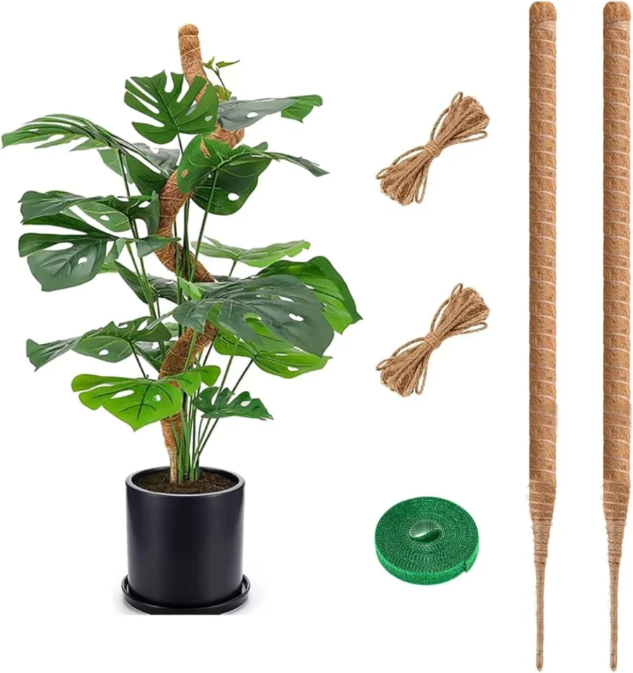 Tuteur monstera en fibre de coco 75 cm, lot de 2