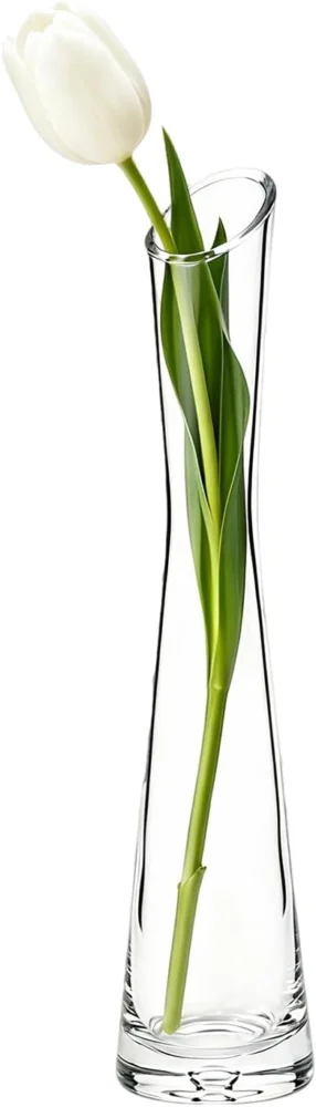 Vase à bourgeon en verre transparent, 25 cm