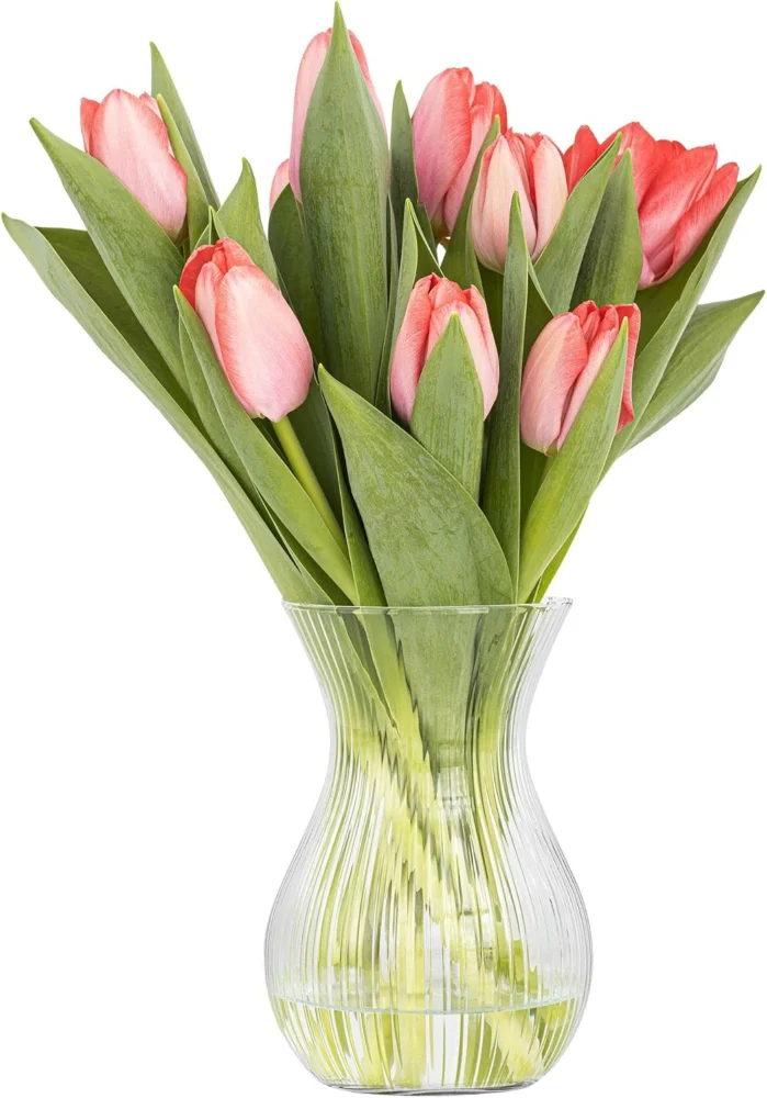 Vase Lyra en verre transparent strié, 18 cm